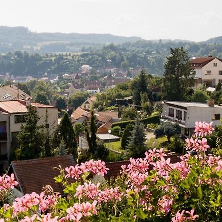 Element Bed & Breakfast Český Krumlov Eksteriør bilde